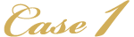 case1